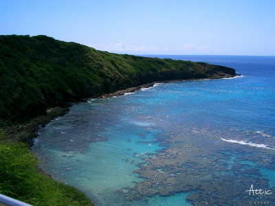 ハワイ オアフ島 ハナウマ湾