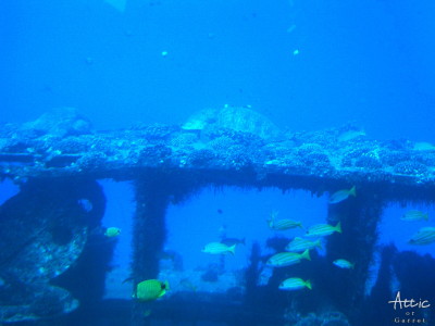ハワイ 潜水艦